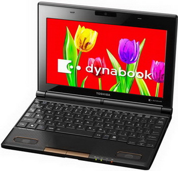 Toshiba Dynabook N301